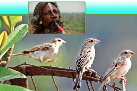 એકલા જ આવ્યા સંતો, એકલા જવાના…