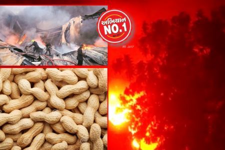 મગફળીનાં ગોદામોમાં ભ્રષ્ટાચારની આગ? ખરીદીના વ્યવહારો સામે સવાલો