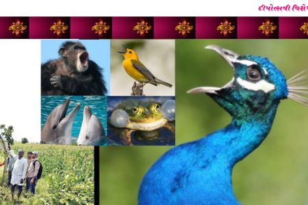 ટહુકાની ટૅક્નોલોજી – બાયો એકોસ્ટિક સાયન્સ